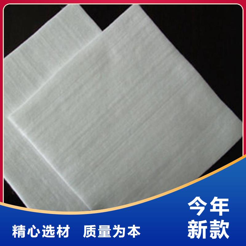  土工布源头厂家直销当地品牌