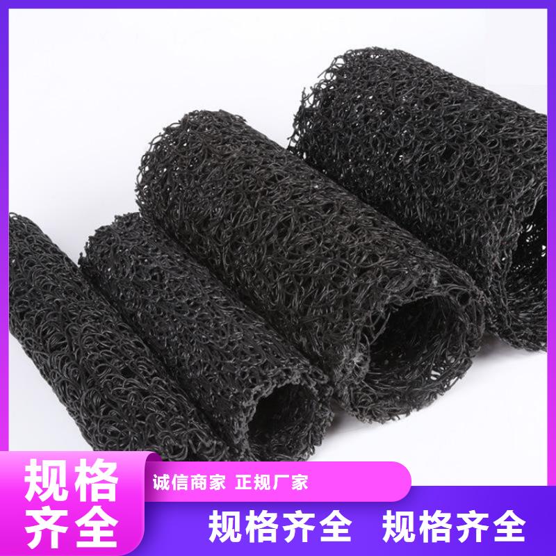 塑料盲沟HDPE土工膜厂家直销省心省钱当地厂家