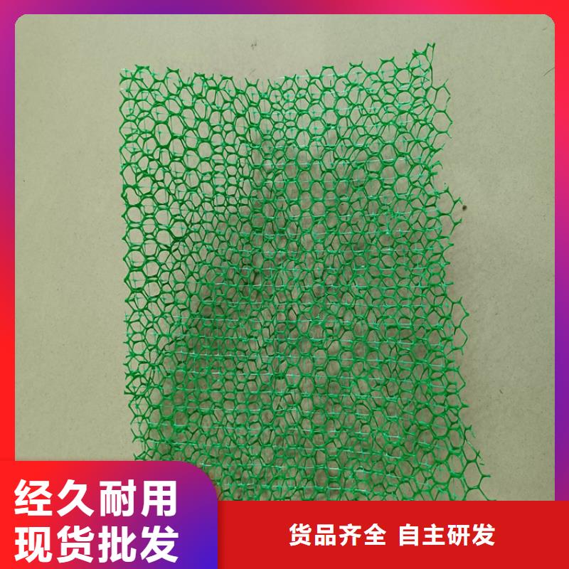 三维植被网_土工膜服务至上厂家供应