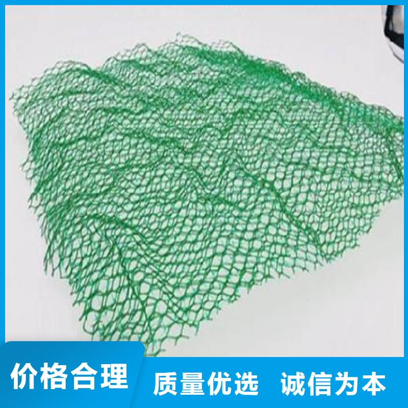 三维植被网,聚酯玻纤布注重细节认准大品牌厂家