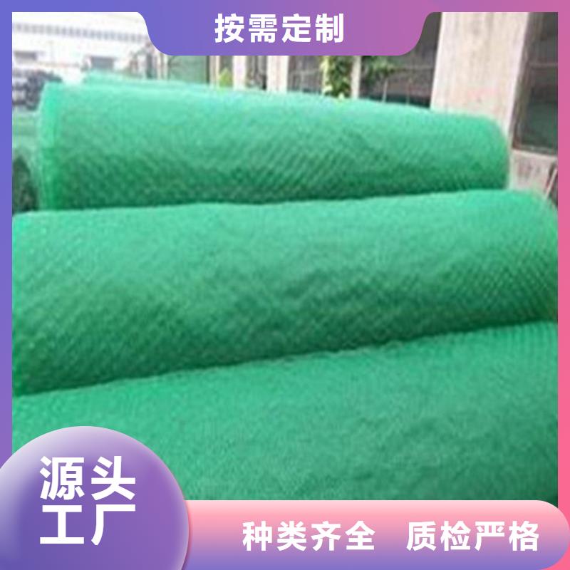 三维植被网玻纤格栅品质过硬源厂定制