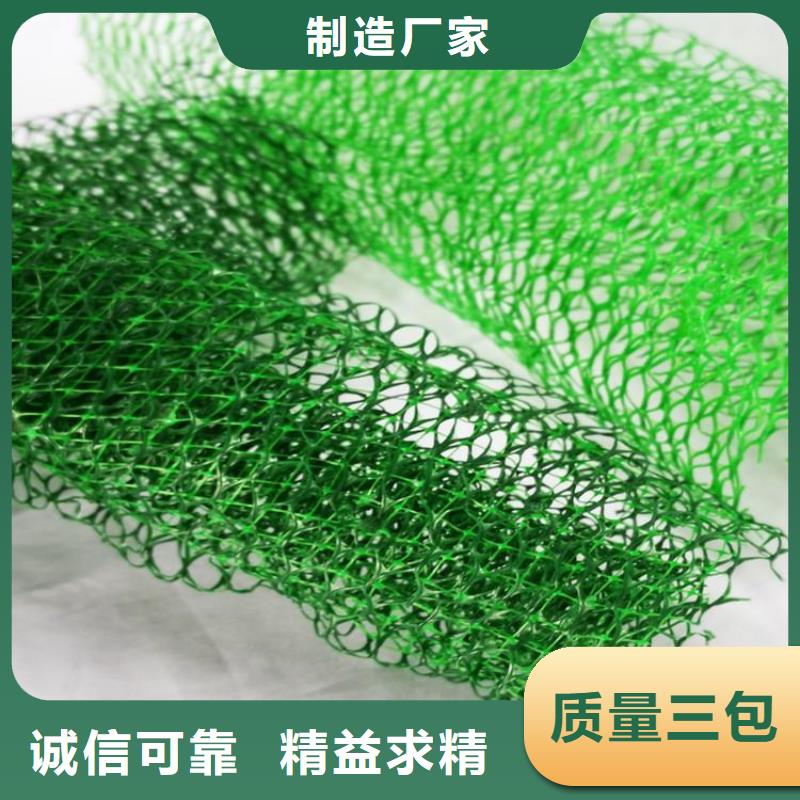 三维植被网【防裂贴】客户好评经验丰富品质可靠