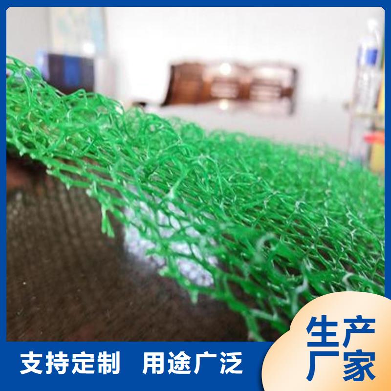 【三维植被网】玻纤格栅贴心服务现货充足