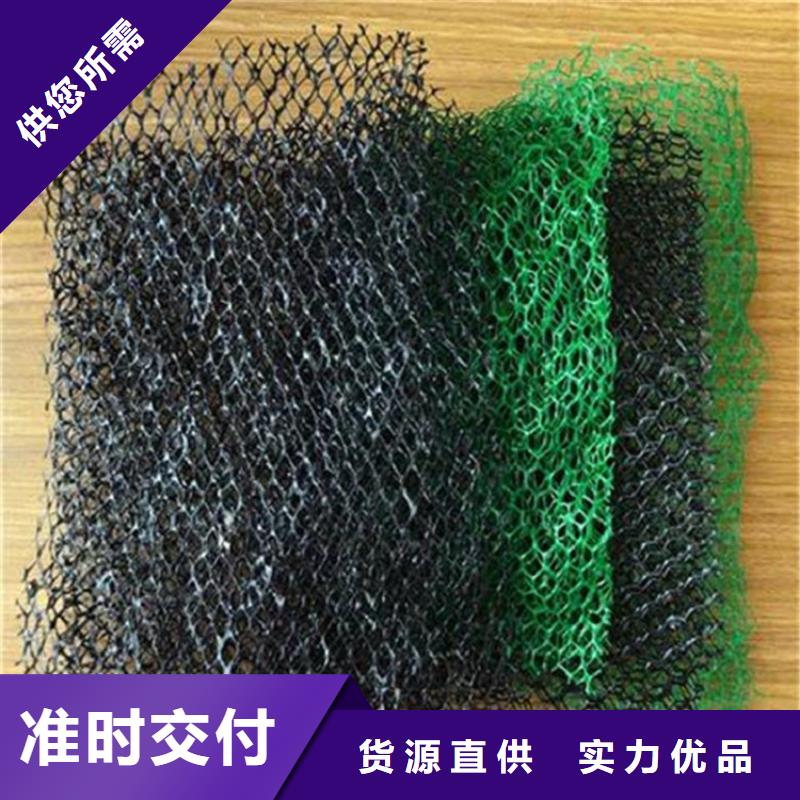 三维植被网土工布专心专注专业当地品牌
