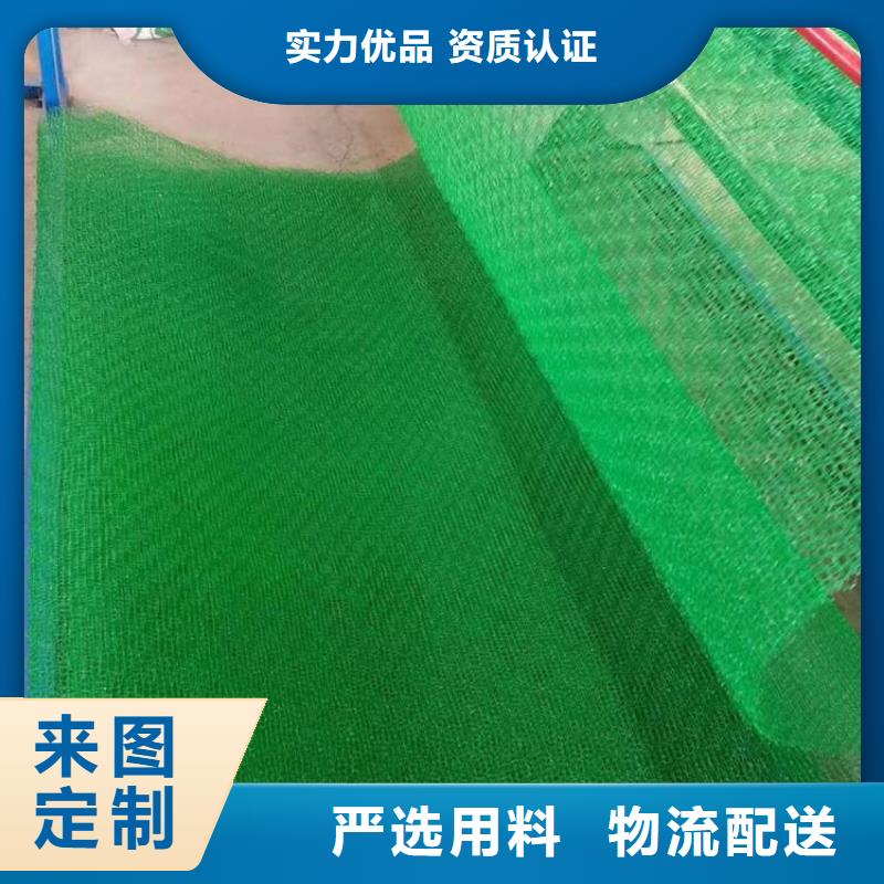 三维植被网_【拉筋带】自产自销适用范围广