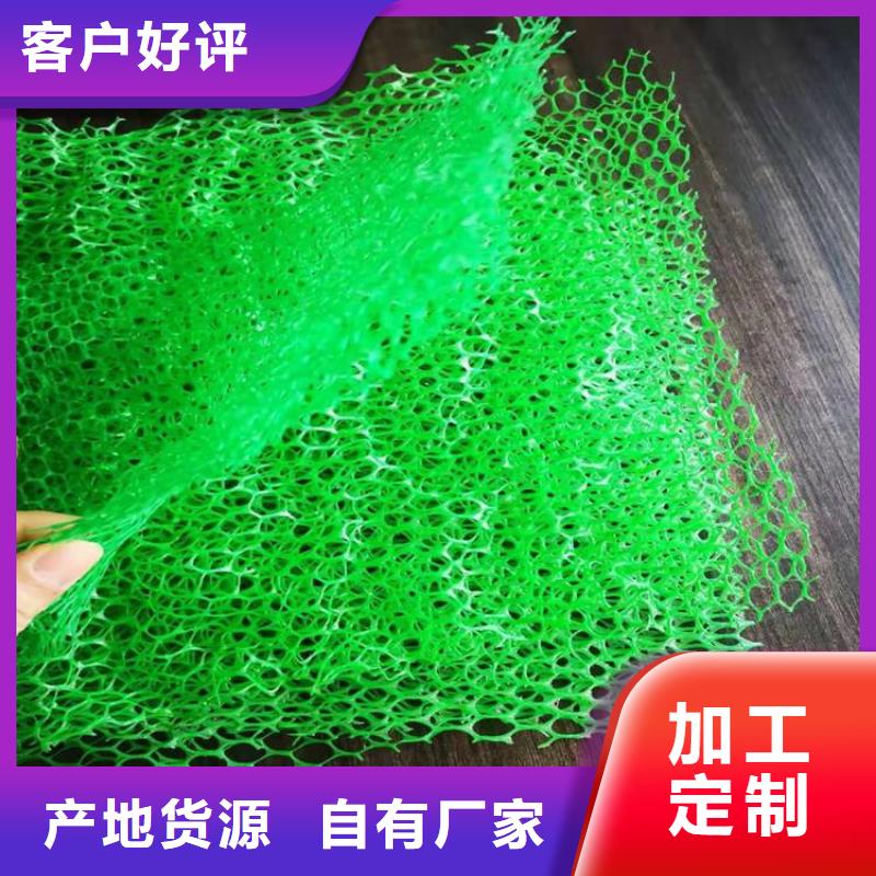 三维植被网_植草格正规厂家优质工艺