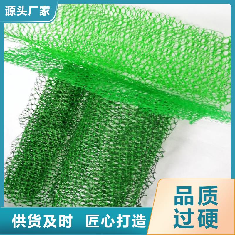 三维植被网土工膜质量优选常年出售