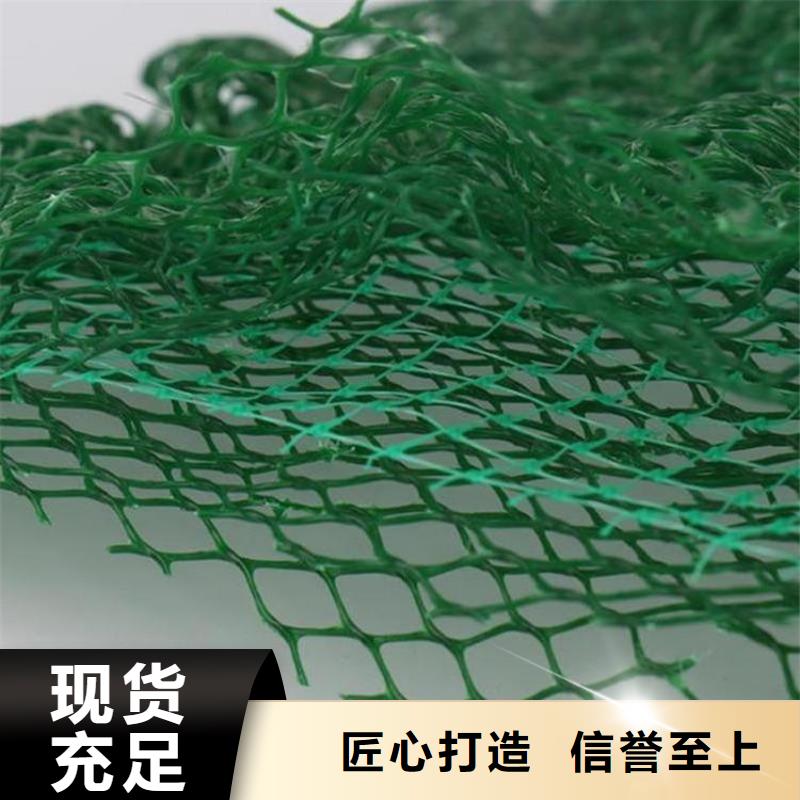 三维植被网,生态带货源直供品牌企业