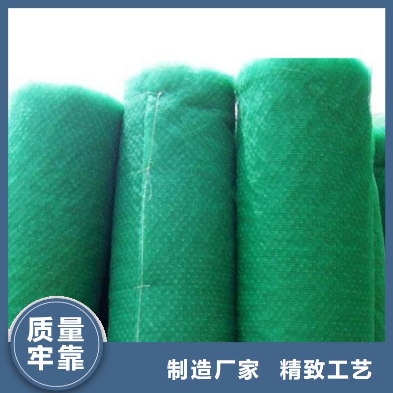 【三维植被网,土工膜专业按需定制】本地货源