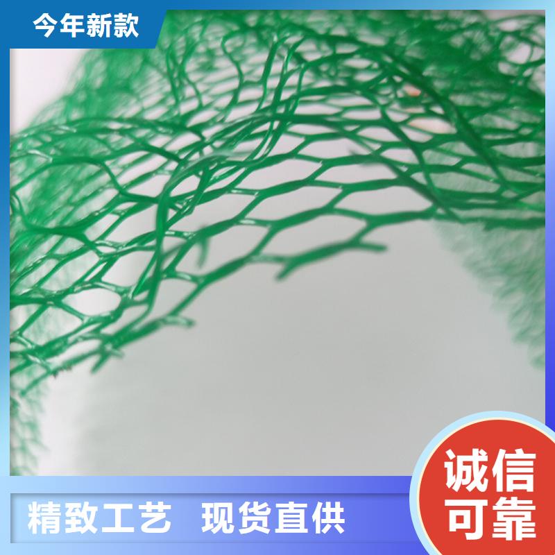 【三维植被网钢塑土工格栅订制批发】同城生产厂家