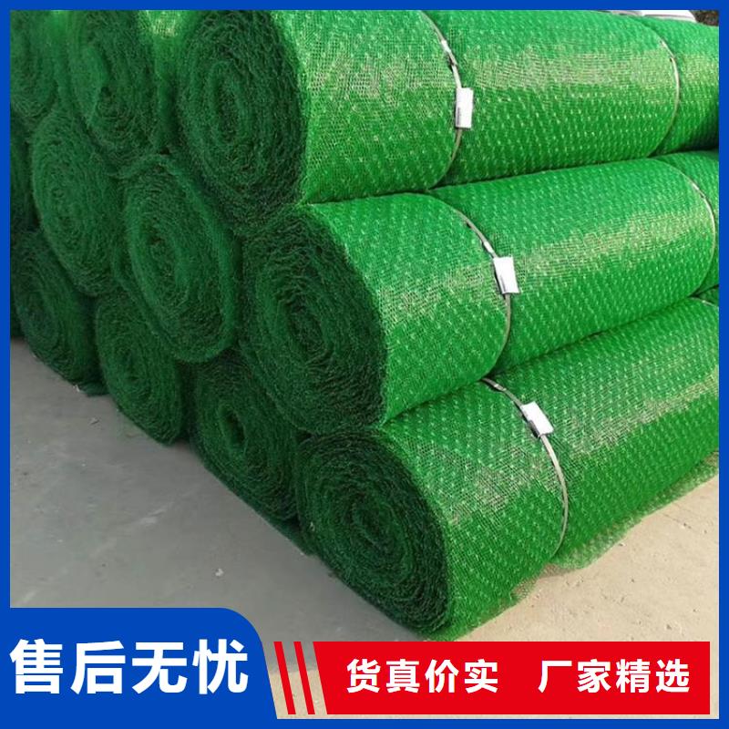 三维植被网,土工格室实力公司价格实在