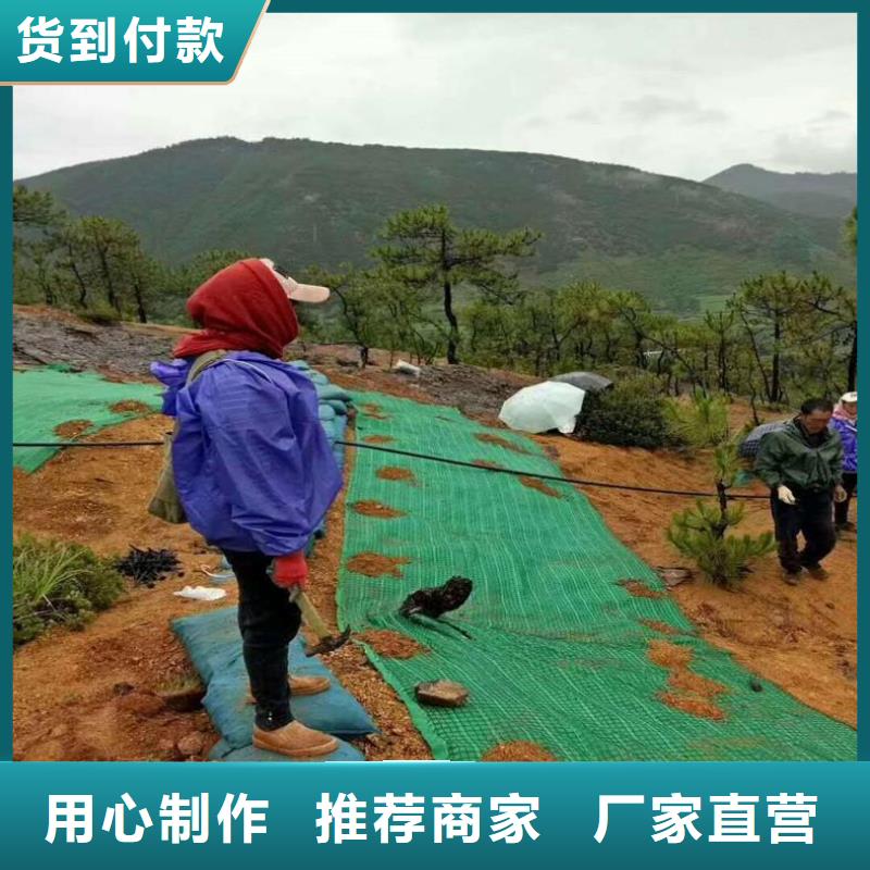 椰丝毯防渗膜保障当地生产厂家