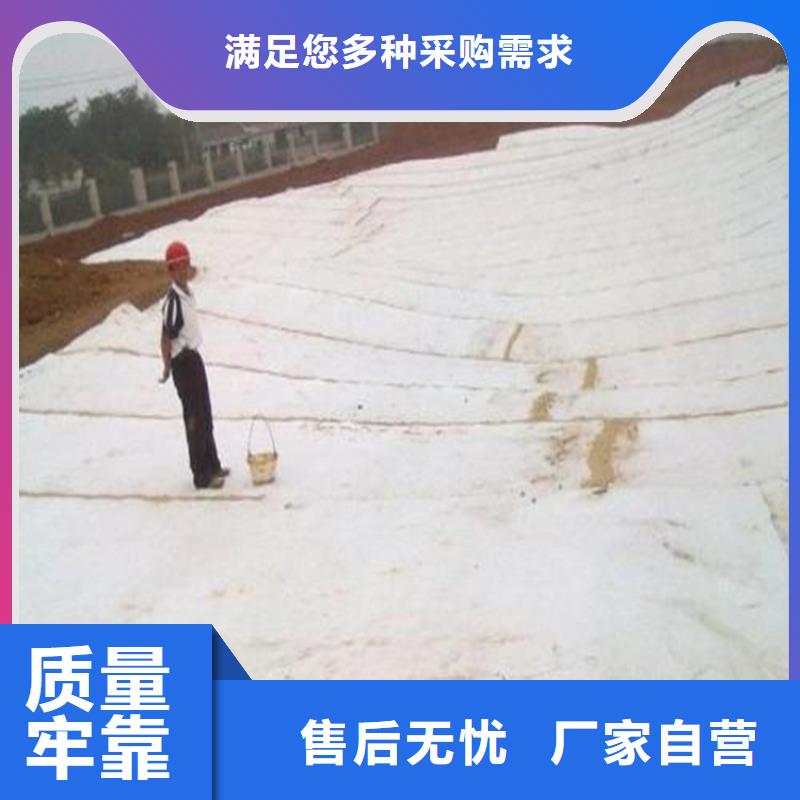 膨润土防水毯,双向土工格栅源头厂家供应以质量求生存