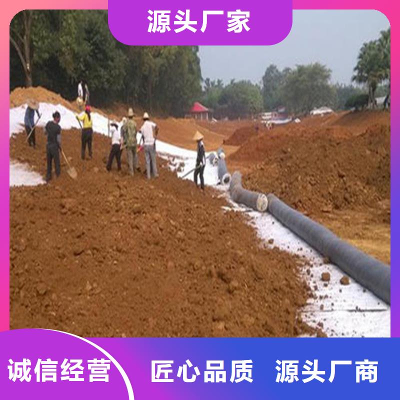 膨润土防水毯土工布品质卓越市场行情