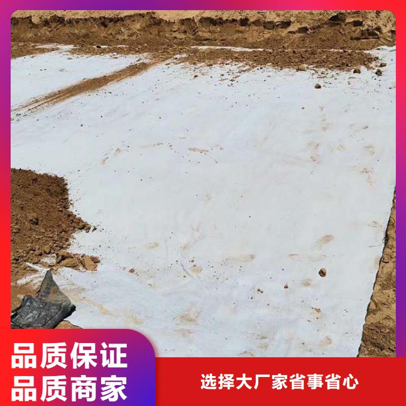 膨润土防水毯土工布原厂制造实力商家供货稳定
