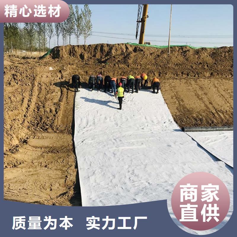 膨润土防水毯防渗膜用心制造优质原料