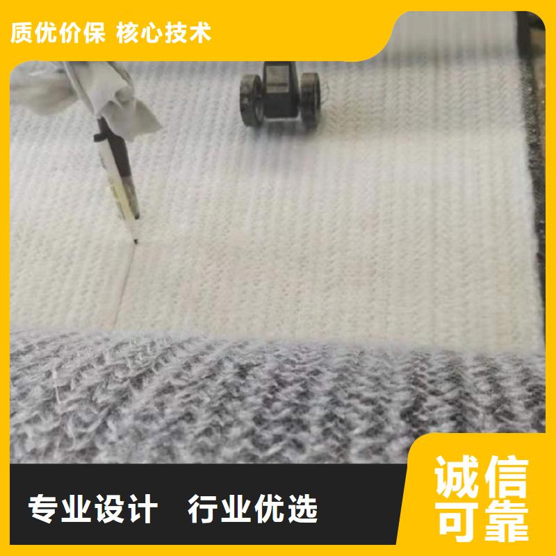 膨润土防水毯【玻纤土工格栅】专注生产N年货源直销