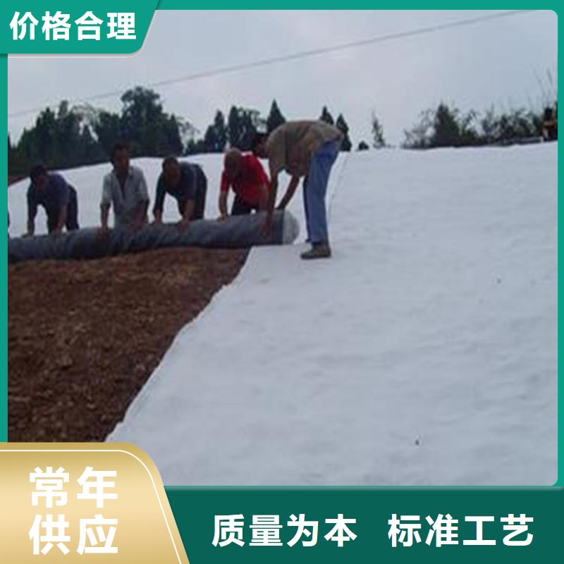 膨润土防水毯土工布型号全价格低同城制造商