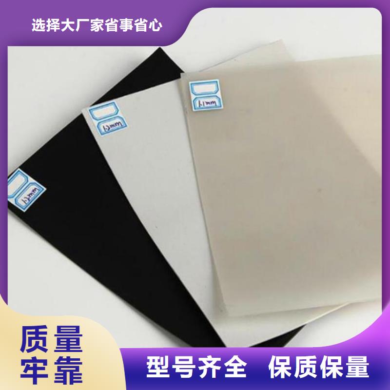 防水板玻纤格栅免费询价同城生产商