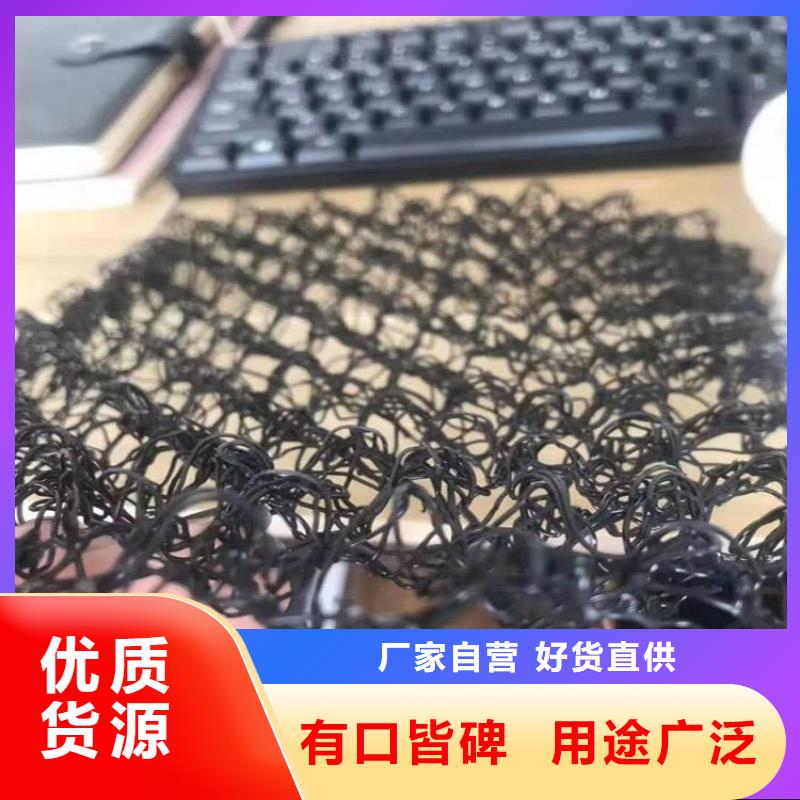 水土保护毯塑料土工格栅一致好评产品本地经销商