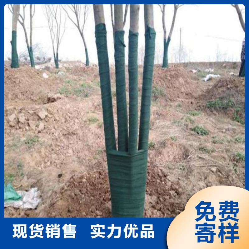 裹树布,土工格栅技术先进本地服务商