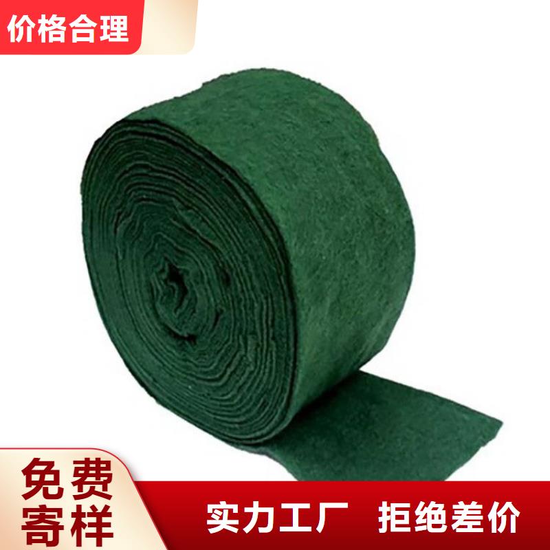 裹树布土工格栅用心制作同城品牌