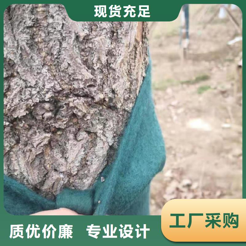 ​裹树布HDPE土工膜可放心采购诚信经营