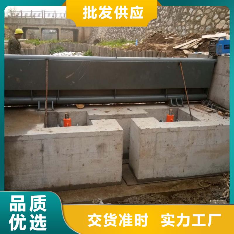 翻板闸门电动启闭机品质保证实力见证来图定制
