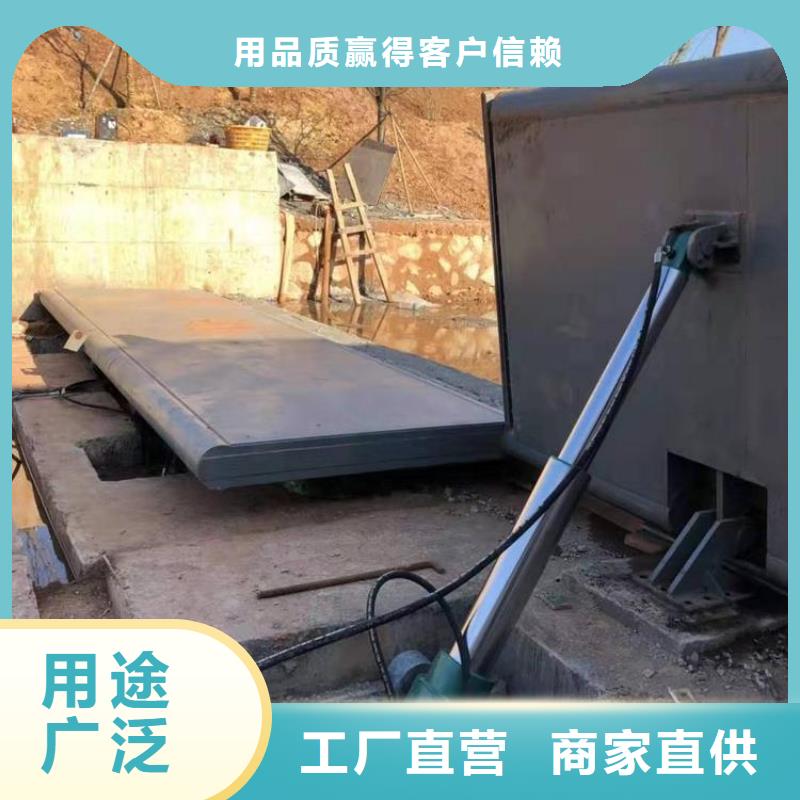 翻板闸门限流闸门颜色尺寸款式定制本地生产厂家