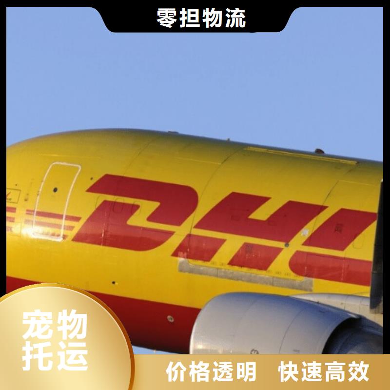 河源DHL快递 海外仓储物流整车零担