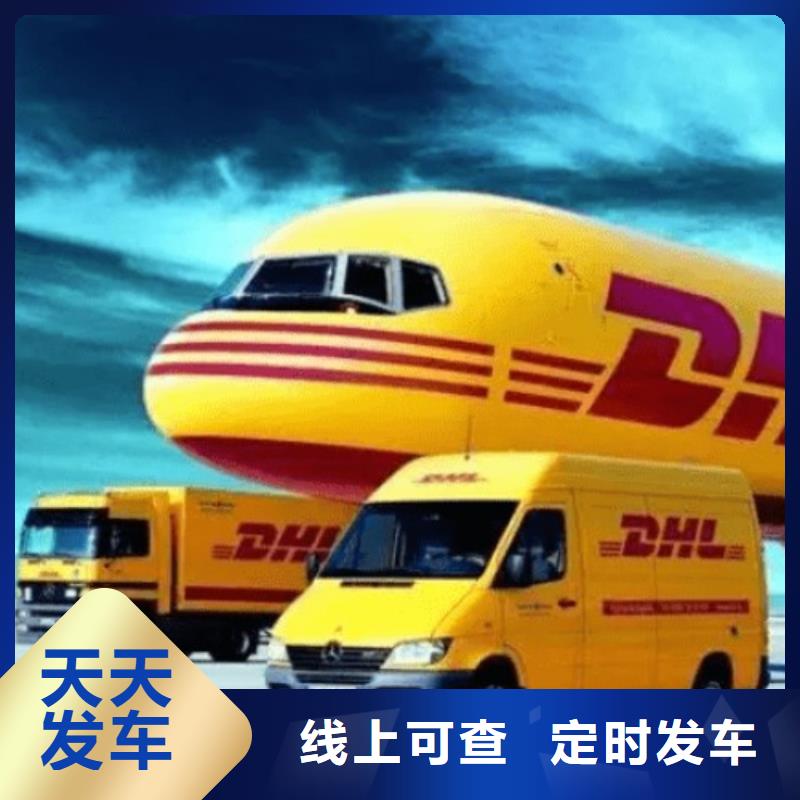 威海【DHL快递】 双清专线不受天气影响