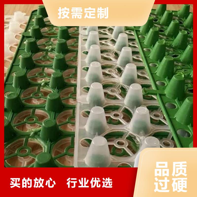 排水板植草格N年大品牌本地货源