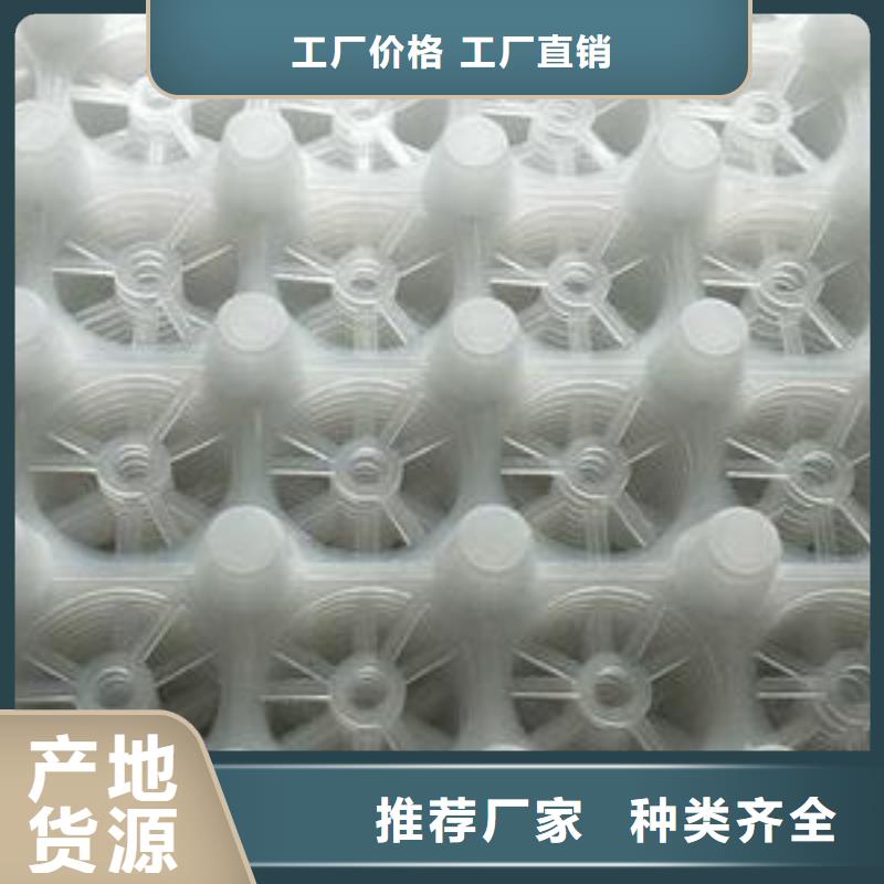 排水板植草格免费寄样实体诚信厂家