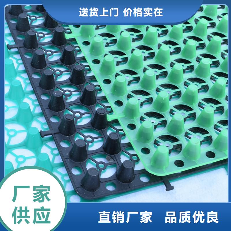 排水板一站式采购商家按需定制