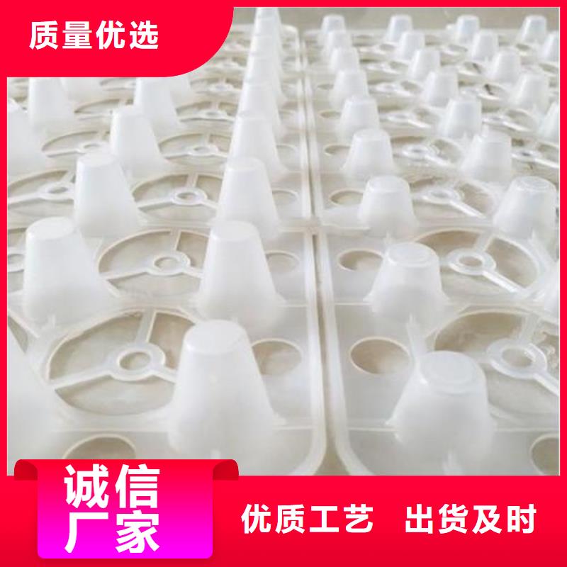 排水板_【水泥化粪池】欢迎来厂考察当地厂家