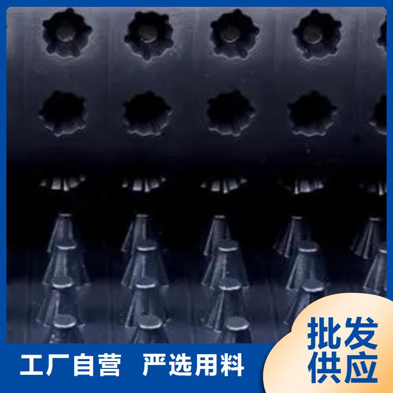 【排水板】-水泥化粪池自有生产工厂真材实料