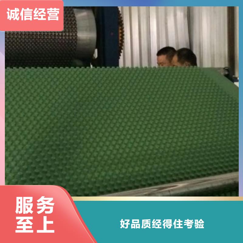 排水板-【植草格】实体诚信经营本地供应商