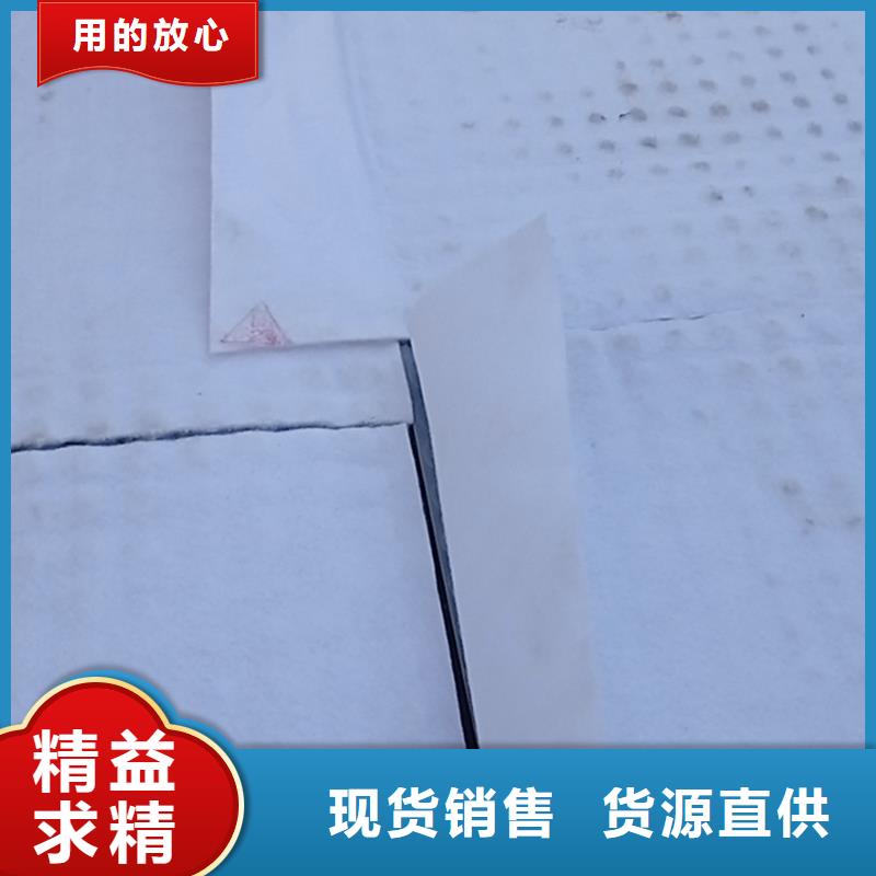 虹吸排水植草格高品质现货销售同城制造商
