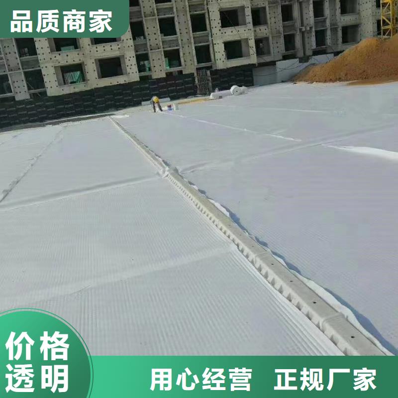 虹吸排水_防护虹吸排水收集系统敢与同行比价格以质量求生存