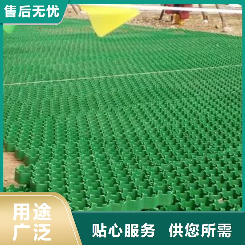 植草格_防护虹吸排水收集系统源头工厂当地货源