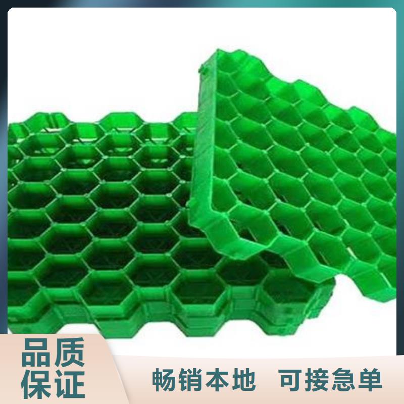 植草格,化粪池水泥用途广泛大量现货供应