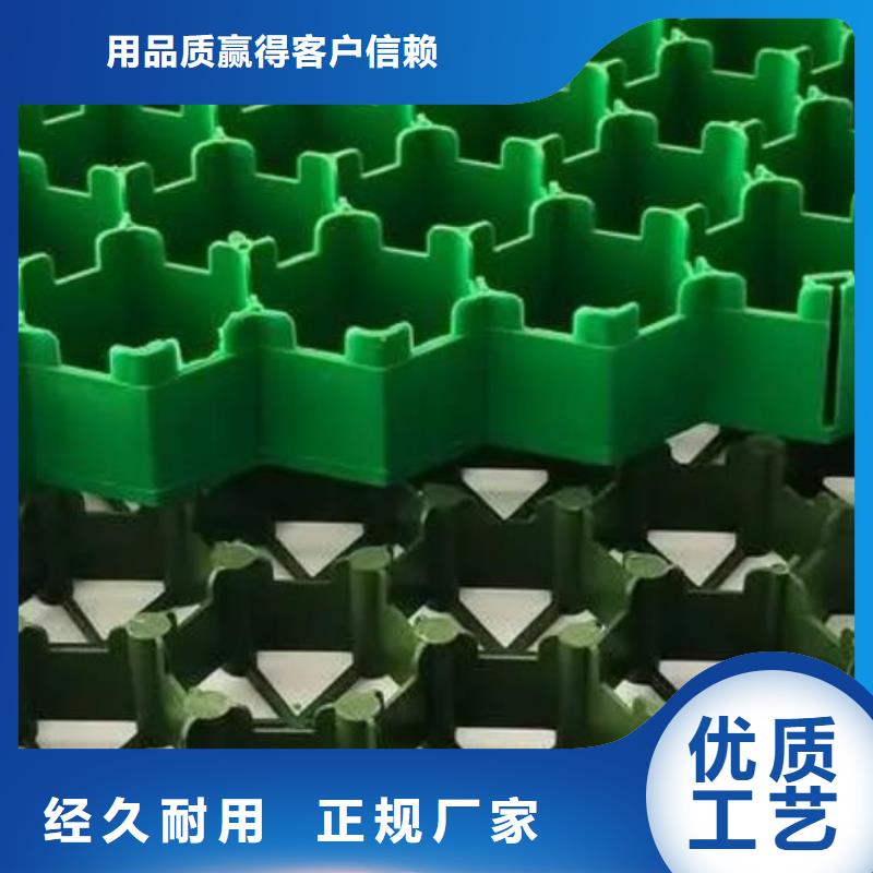 植草格植草格一周内发货现货快速采购
