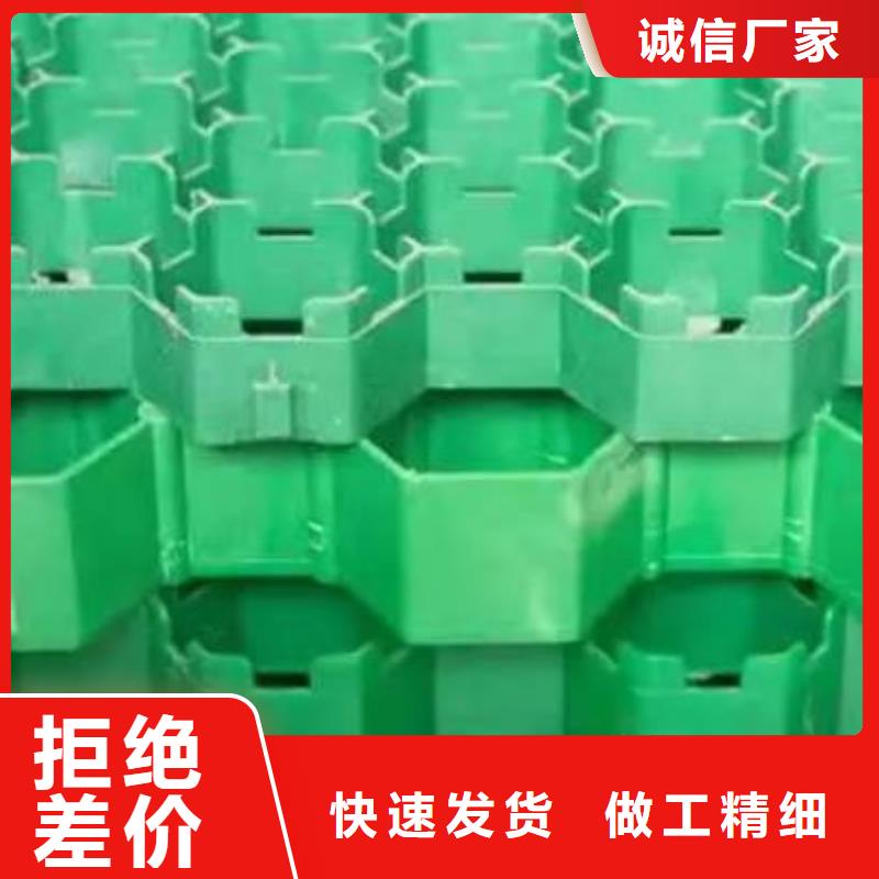 植草格植草格当地货源工厂直销