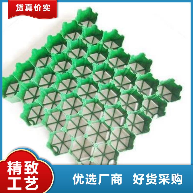 【植草格,排水板质量优价格低】根据要求定制
