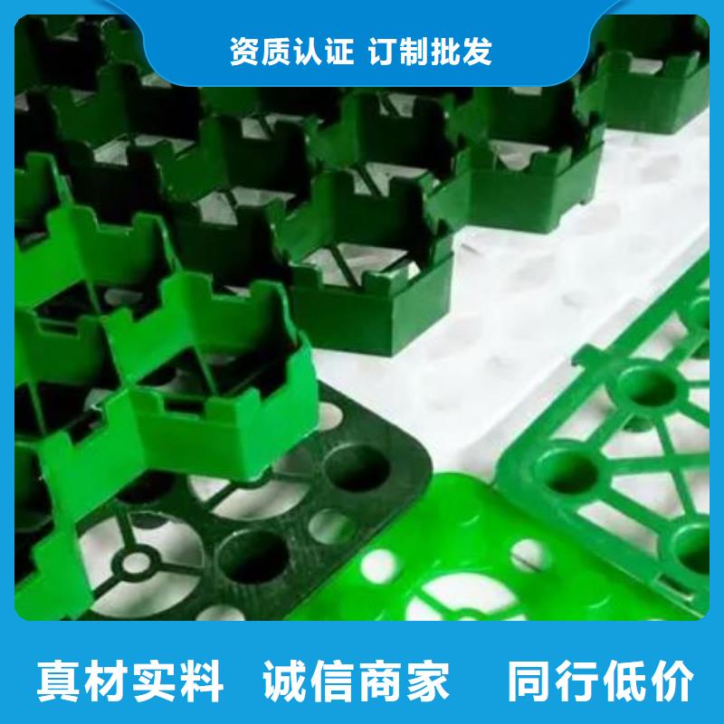 植草格排水板质量好专注质量