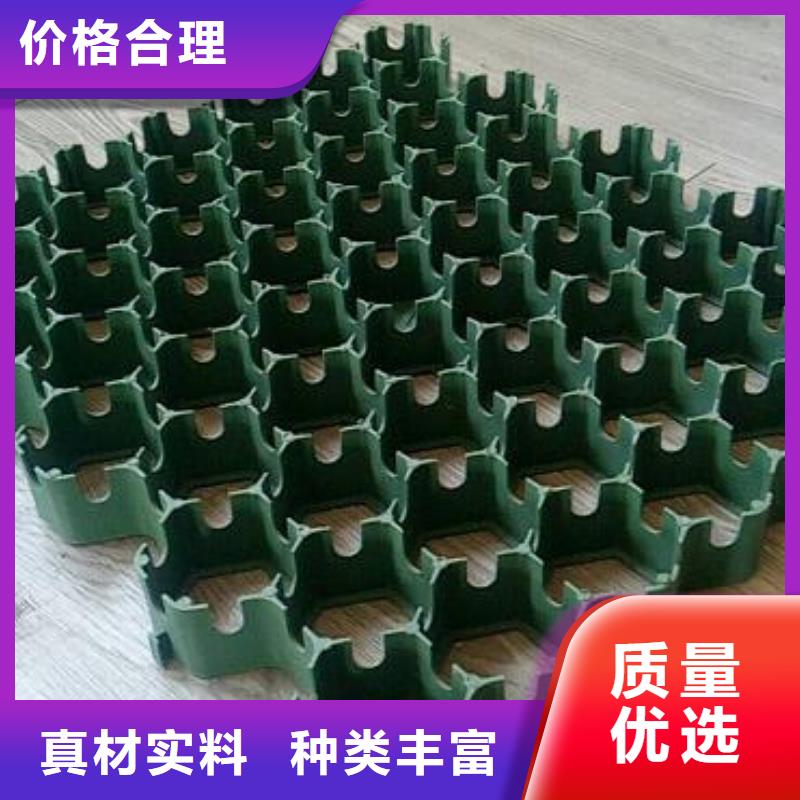 植草格排水板多种场景适用批发商