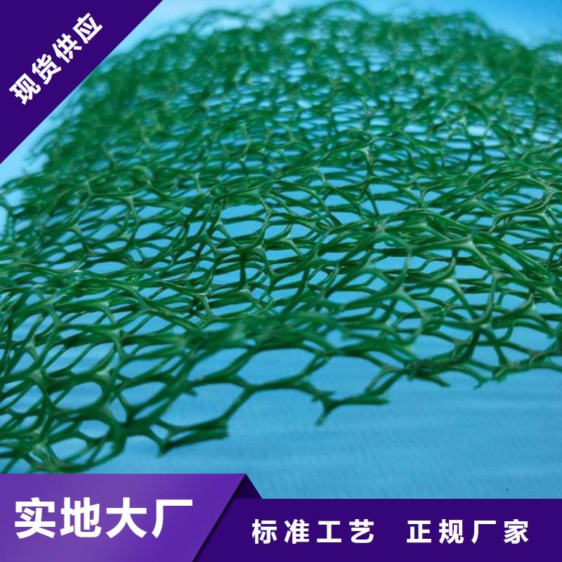 三维植被网,防护虹吸排水收集系统大库存无缺货危机当地品牌