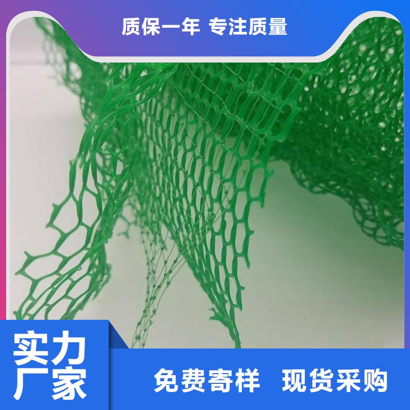 三维植被网植草格用心做品质当地货源
