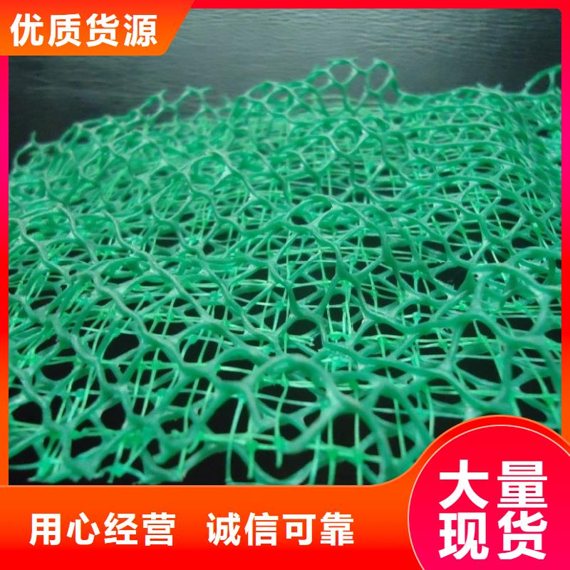 三维植被网排水板注重细节当地厂家