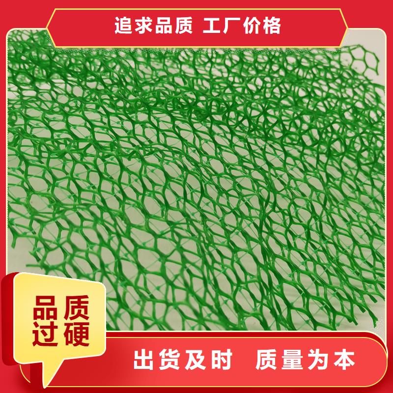 【三维植被网_排水板出货及时】当地制造商